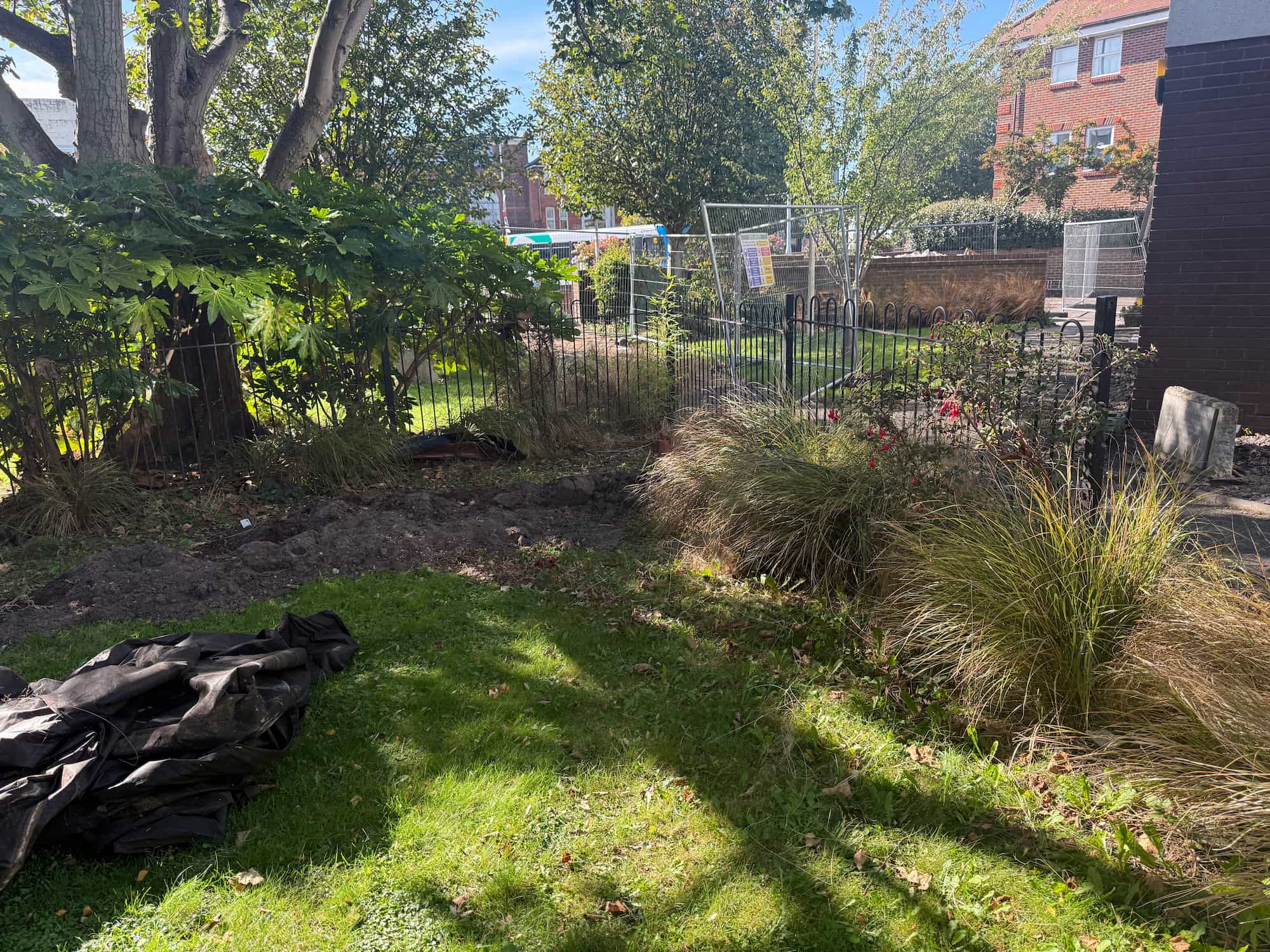A grassy garden area with some long, wild grasses and shrubs, a patch of exposed soil, dark tarp on the grass, metal fencing, and buildings in the background on a sunny day.